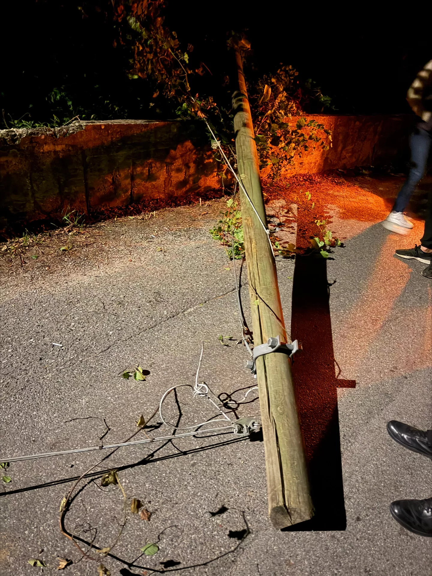 Dasà, palo abbattuto dal vento finisce su un furgone: sfiorata la tragedia
